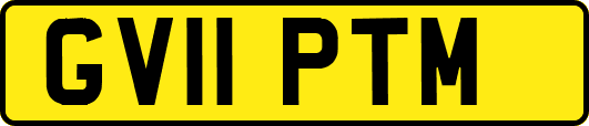 GV11PTM