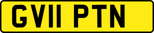 GV11PTN