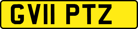 GV11PTZ