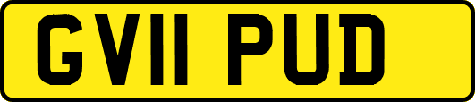 GV11PUD