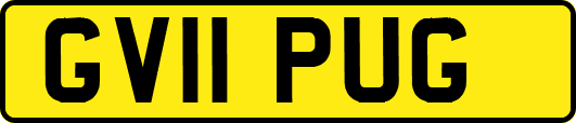 GV11PUG