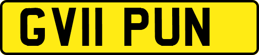 GV11PUN