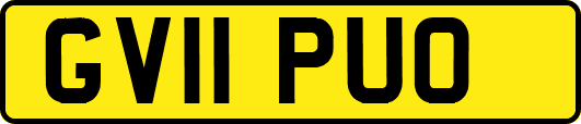 GV11PUO