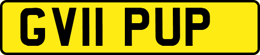 GV11PUP