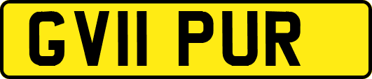 GV11PUR