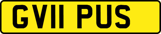 GV11PUS