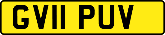GV11PUV