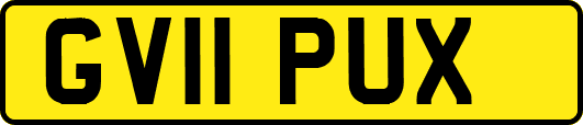 GV11PUX