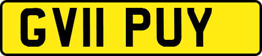 GV11PUY