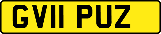 GV11PUZ