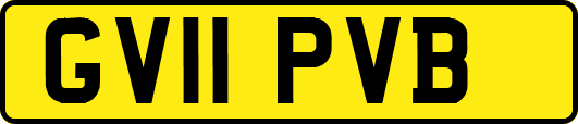 GV11PVB