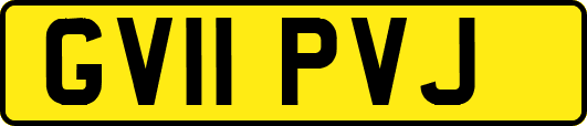 GV11PVJ