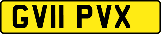 GV11PVX