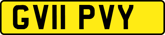 GV11PVY