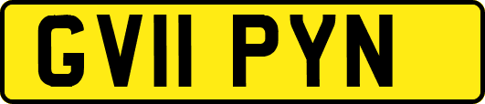 GV11PYN