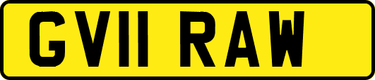 GV11RAW