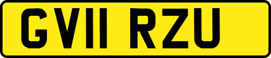 GV11RZU