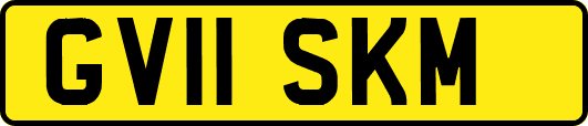 GV11SKM