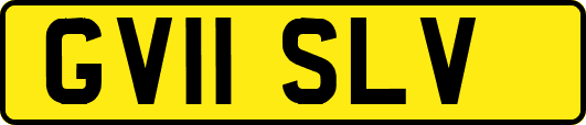 GV11SLV