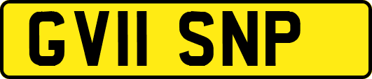 GV11SNP