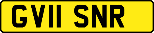 GV11SNR