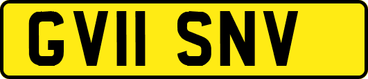 GV11SNV