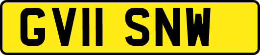 GV11SNW