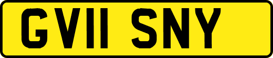GV11SNY