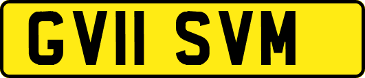GV11SVM