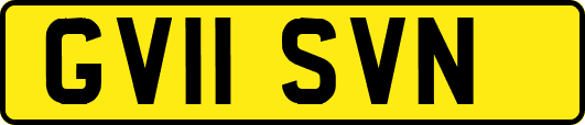 GV11SVN