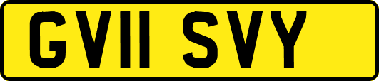 GV11SVY