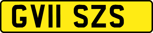 GV11SZS