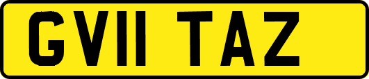 GV11TAZ