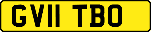 GV11TBO