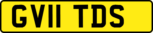 GV11TDS