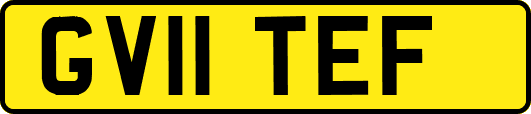 GV11TEF