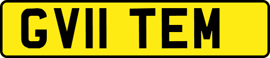 GV11TEM