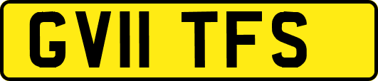 GV11TFS