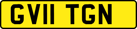 GV11TGN