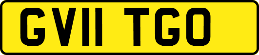 GV11TGO