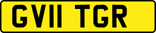 GV11TGR