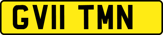 GV11TMN