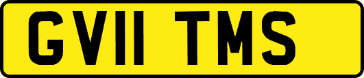 GV11TMS