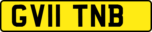 GV11TNB