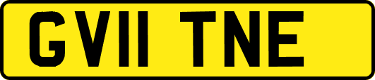 GV11TNE