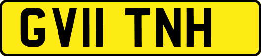 GV11TNH