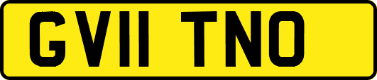 GV11TNO