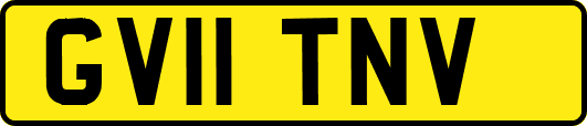 GV11TNV