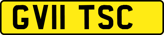 GV11TSC