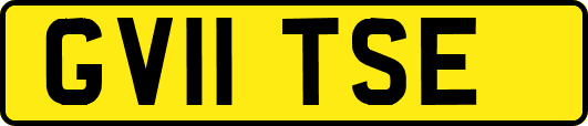 GV11TSE